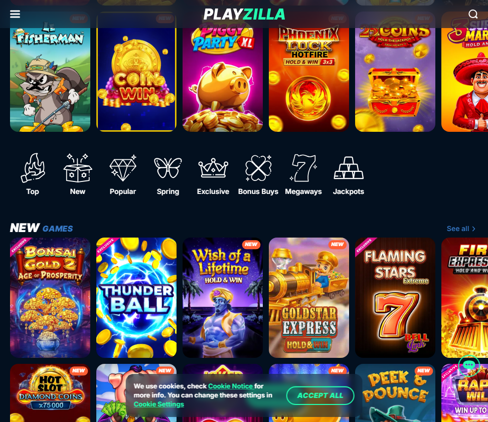 PlayZilla slide1